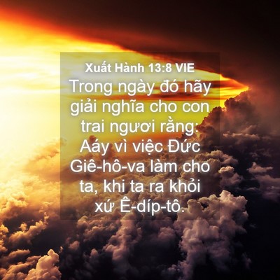 Picture 04 - Xuất Hành 13:8 VIE - Trong ngày đó hãy giải nghĩa cho con trai - Bible Verse Picture