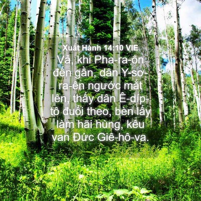 Picture 04 - Xuất Hành 14:10 VIE - Vả, khi Pha-ra-ôn đến gần, dân - Bible Verse Picture