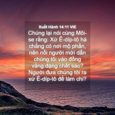 Picture 04 - Xuất Hành 14:11 VIE - Chúng lại nói cùng Môi-se rằng: Xứ - Bible Verse Picture