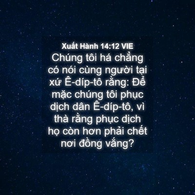 Picture 04 - Xuất Hành 14:12 VIE - Chúng tôi há chẳng có nói cùng người - Bible Verse Picture
