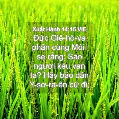 Picture 04 - Xuất Hành 14:15 VIE - Đức Giê-hô-va phán cùng Môi-se rằng: - Bible Verse Picture