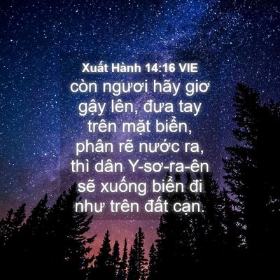 Picture 04 - Xuất Hành 14:16 VIE - còn ngươi hãy giơ gậy lên, đưa tay - Bible Verse Picture