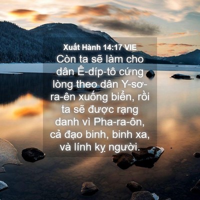 Picture 04 - Xuất Hành 14:17 VIE - Còn ta sẽ làm cho dân Ê-díp-tô cứng - Bible Verse Picture