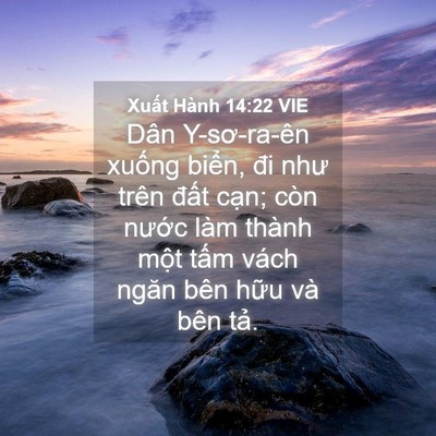 Picture 04 - Xuất Hành 14:22 VIE - Dân Y-sơ-ra-ên xuống biển, đi như trên - Bible Verse Picture
