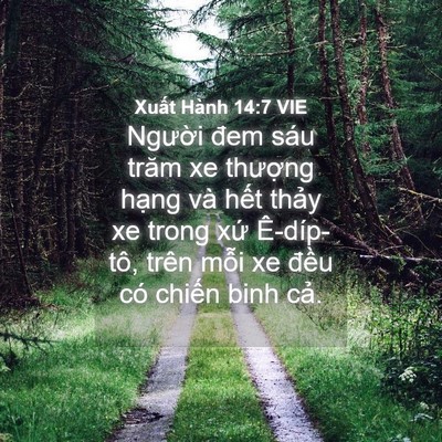 Picture 04 - Xuất Hành 14:7 VIE - Người đem sáu trăm xe thượng hạng và - Bible Verse Picture