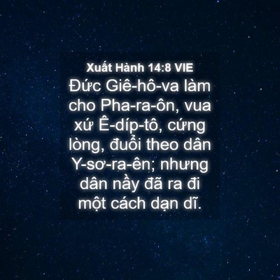 Picture 04 - Xuất Hành 14:8 VIE - Đức Giê-hô-va làm cho Pha-ra-ôn, vua xứ - Bible Verse Picture