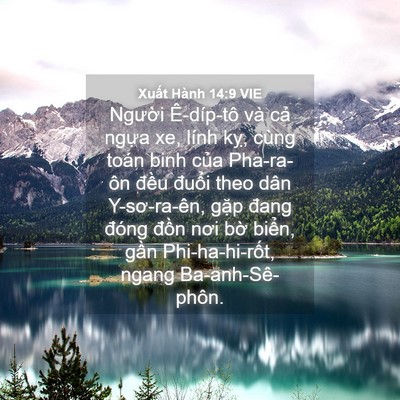 Picture 04 - Xuất Hành 14:9 VIE - Người Ê-díp-tô và cả ngựa xe, lính - Bible Verse Picture