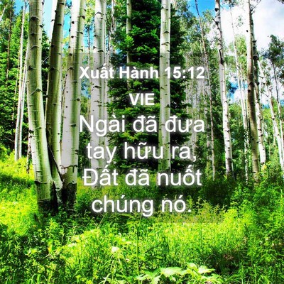 Picture 04 - Xuất Hành 15:12 VIE - Ngài đã đưa tay hữu ra, Đất đã nuốt - Bible Verse Picture