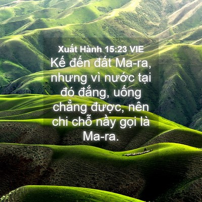 Picture 04 - Xuất Hành 15:23 VIE - Kế đến đất Ma-ra, nhưng vì nước - Bible Verse Picture