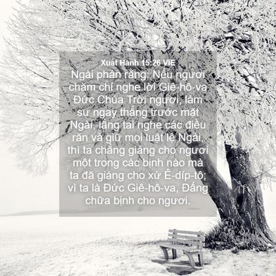 Picture 04 - Xuất Hành 15:26 VIE - Ngài phán rằng: Nếu ngươi chăm chỉ - Bible Verse Picture