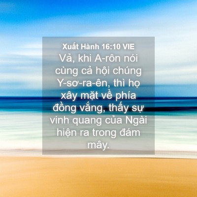 Picture 04 - Xuất Hành 16:10 VIE - Vả, khi A-rôn nói cùng cả hội chúng - Bible Verse Picture