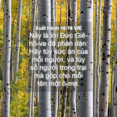 Picture 04 - Xuất Hành 16:16 VIE - Nầy là lời Đức Giê-hô-va đã phán - Bible Verse Picture