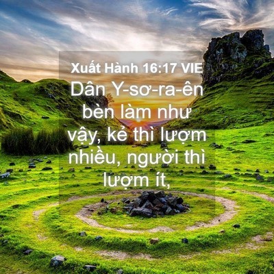 Picture 04 - Xuất Hành 16:17 VIE - Dân Y-sơ-ra-ên bèn làm như vậy, kẻ thì - Bible Verse Picture