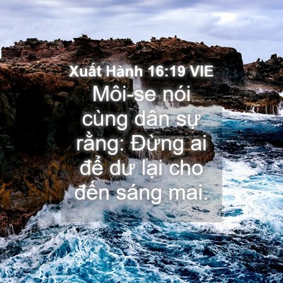 Picture 04 - Xuất Hành 16:19 VIE - Môi-se nói cùng dân sự rằng: Đừng ai - Bible Verse Picture