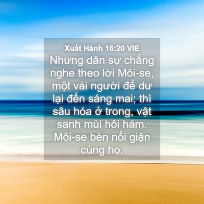 Picture 04 - Xuất Hành 16:20 VIE - Nhưng dân sự chẳng nghe theo lời Môi-se, - Bible Verse Picture
