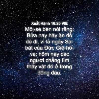 Picture 04 - Xuất Hành 16:25 VIE - Môi-se bèn nói rằng: Bữa nay hãy ăn - Bible Verse Picture