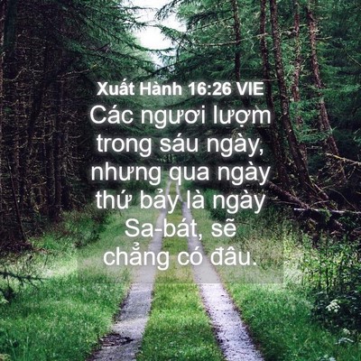 Picture 04 - Xuất Hành 16:26 VIE - Các ngươi lượm trong sáu ngày, nhưng qua - Bible Verse Picture