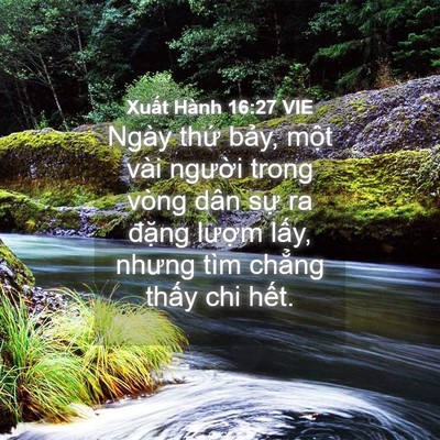 Picture 04 - Xuất Hành 16:27 VIE - Ngày thứ bảy, một vài người trong - Bible Verse Picture