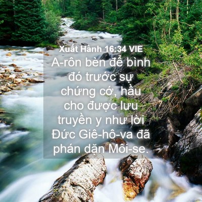 Picture 04 - Xuất Hành 16:34 VIE - A-rôn bèn để bình đó trước sự - Bible Verse Picture