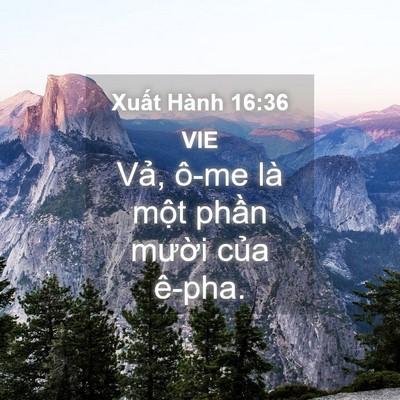 Picture 04 - Xuất Hành 16:36 VIE - Vả, ô-me là một phần mười của - Bible Verse Picture