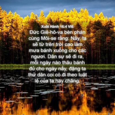 Picture 04 - Xuất Hành 16:4 VIE - Đức Giê-hô-va bèn phán cùng Môi-se - Bible Verse Picture