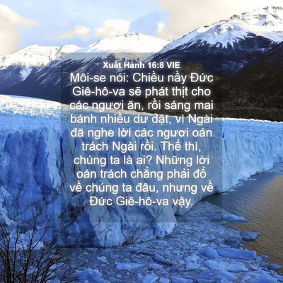 Picture 04 - Xuất Hành 16:8 VIE - Môi-se nói: Chiều nầy Đức Giê-hô-va - Bible Verse Picture