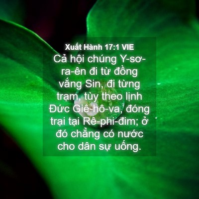 Picture 04 - Xuất Hành 17:1 VIE - Cả hội chúng Y-sơ-ra-ên đi từ đồng - Bible Verse Picture