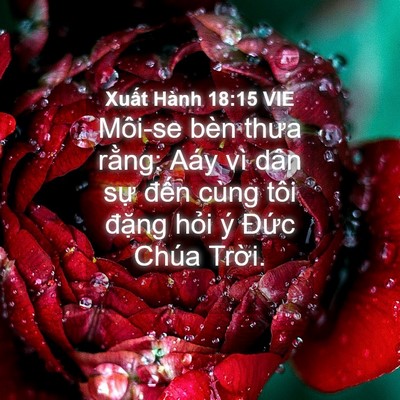 Picture 04 - Xuất Hành 18:15 VIE - Môi-se bèn thưa rằng: Aáy vì dân sự - Bible Verse Picture