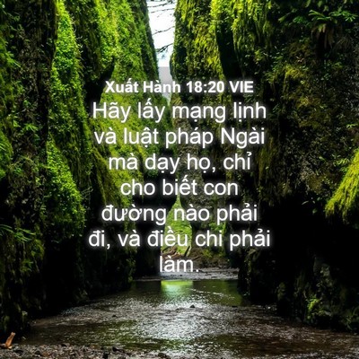 Picture 04 - Xuất Hành 18:20 VIE - Hãy lấy mạng lịnh và luật pháp Ngài - Bible Verse Picture