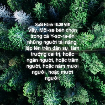 Picture 04 - Xuất Hành 18:25 VIE - Vậy, Môi-se bèn chọn trong cả - Bible Verse Picture
