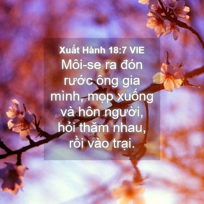 Picture 04 - Xuất Hành 18:7 VIE - Môi-se ra đón rước ông gia mình, mọp - Bible Verse Picture