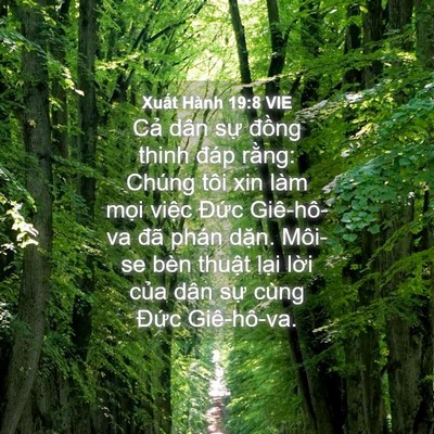 Picture 04 - Xuất Hành 19:8 VIE - Cả dân sự đồng thinh đáp rằng: Chúng - Bible Verse Picture