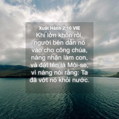 Picture 04 - Xuất Hành 2:10 VIE - Khi lớn khôn rồi, người bèn dẫn nó - Bible Verse Picture