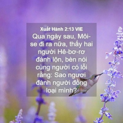 Picture 04 - Xuất Hành 2:13 VIE - Qua ngày sau, Môi-se đi ra nữa, thấy hai - Bible Verse Picture