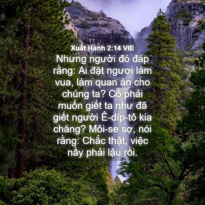 Picture 04 - Xuất Hành 2:14 VIE - Nhưng người đó đáp rằng: Ai đặt - Bible Verse Picture