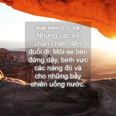 Picture 04 - Xuất Hành 2:17 VIE - Nhưng các kẻ chăn chiên đến đuổi đi; - Bible Verse Picture