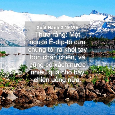 Picture 04 - Xuất Hành 2:19 VIE - Thưa rằng: Một người Ê-díp-tô cứu - Bible Verse Picture