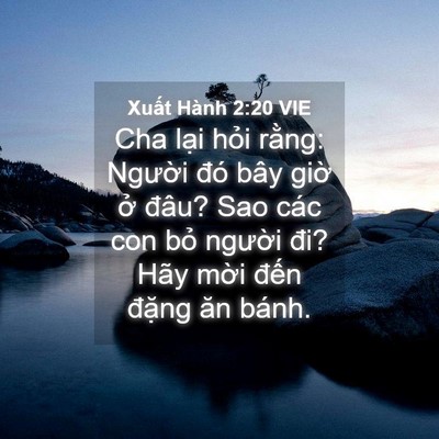Picture 04 - Xuất Hành 2:20 VIE - Cha lại hỏi rằng: Người đó bây giờ - Bible Verse Picture