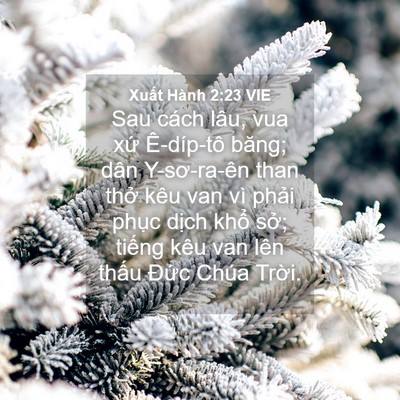 Picture 04 - Xuất Hành 2:23 VIE - Sau cách lâu, vua xứ Ê-díp-tô băng; dân - Bible Verse Picture