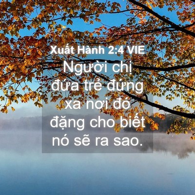 Picture 04 - Xuất Hành 2:4 VIE - Người chị đứa trẻ đứng xa nơi đó - Bible Verse Picture