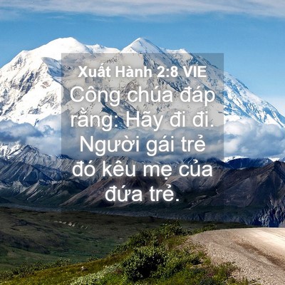 Picture 04 - Xuất Hành 2:8 VIE - Công chúa đáp rằng: Hãy đi đi. Người - Bible Verse Picture