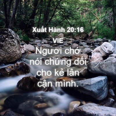 Picture 04 - Xuất Hành 20:16 VIE - Ngươi chớ nói chứng dối cho kẻ lân - Bible Verse Picture