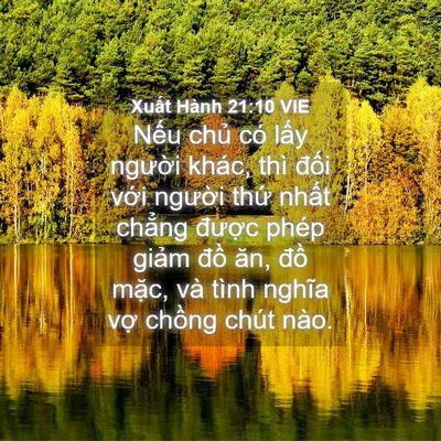 Picture 04 - Xuất Hành 21:10 VIE - Nếu chủ có lấy người khác, thì đối - Bible Verse Picture