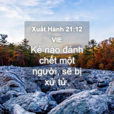 Picture 04 - Xuất Hành 21:12 VIE - Kẻ nào đánh chết một người, sẽ bị - Bible Verse Picture