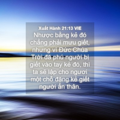 Picture 04 - Xuất Hành 21:13 VIE - Nhược bằng kẻ đó chẳng phải mưu - Bible Verse Picture