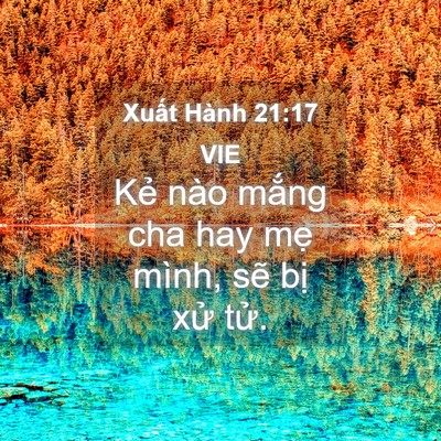 Picture 04 - Xuất Hành 21:17 VIE - Kẻ nào mắng cha hay mẹ mình, sẽ bị - Bible Verse Picture