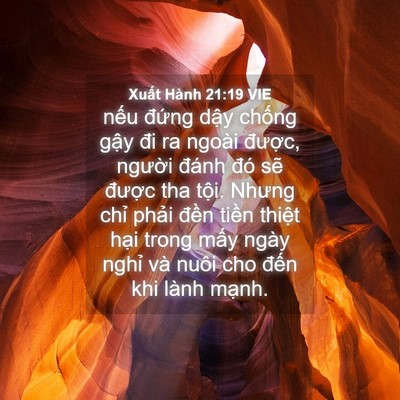 Picture 04 - Xuất Hành 21:19 VIE - nếu đứng dậy chống gậy đi ra ngoài - Bible Verse Picture