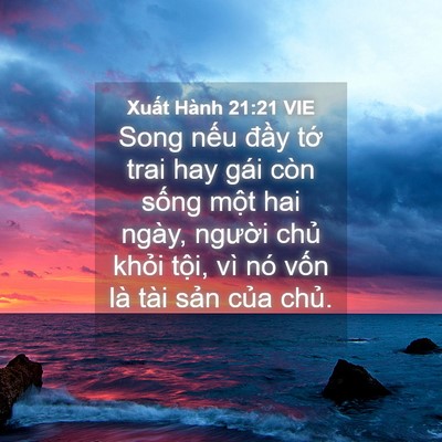 Picture 04 - Xuất Hành 21:21 VIE - Song nếu đầy tớ trai hay gái còn sống - Bible Verse Picture