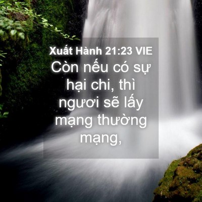 Picture 04 - Xuất Hành 21:23 VIE - Còn nếu có sự hại chi, thì ngươi sẽ - Bible Verse Picture