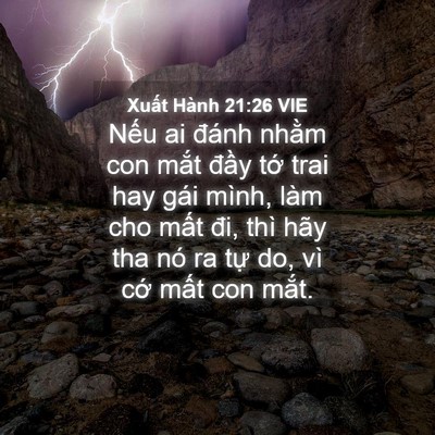 Picture 04 - Xuất Hành 21:26 VIE - Nếu ai đánh nhằm con mắt đầy tớ trai - Bible Verse Picture